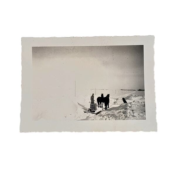 Vtg B&W Photo 1942 Found Horses Working In Snow Pulling Sled Snapshot Lot of 2 - Picture 3 of 6
